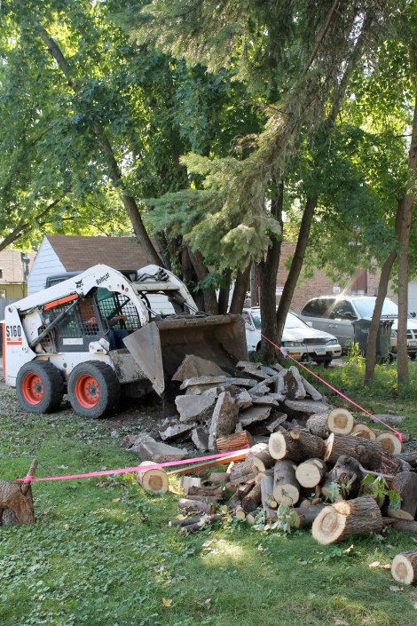 Saving the rubble for my future landscaping projects